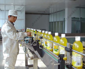 链板输送设备在餐饮管理中的创新应用与优势分析